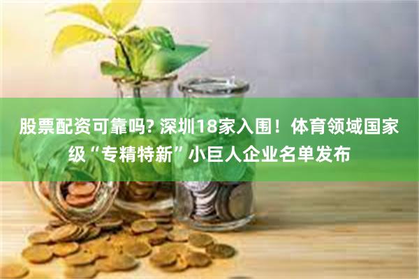 股票配资可靠吗? 深圳18家入围！体育领域国家级“专精特新”小巨人企业名单发布