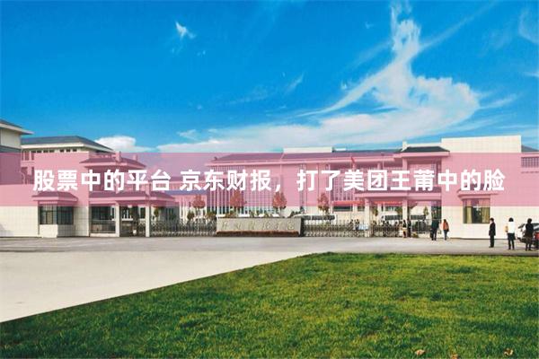 股票中的平台 京东财报，打了美团王莆中的脸