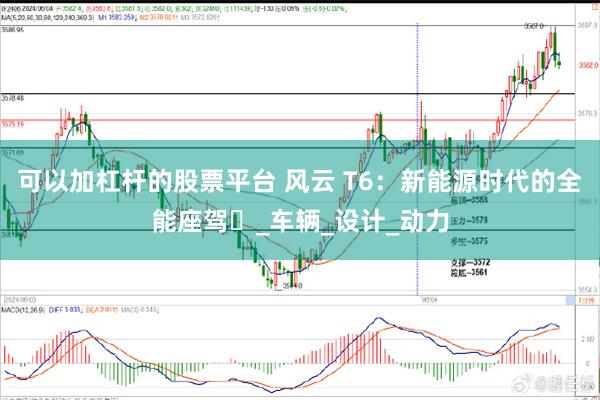 可以加杠杆的股票平台 风云 T6：新能源时代的全能座驾​_车辆_设计_动力