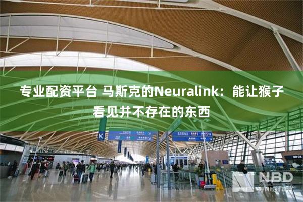 专业配资平台 马斯克的Neuralink：能让猴子看见并不存在的东西