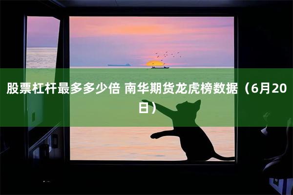 股票杠杆最多多少倍 南华期货龙虎榜数据（6月20日）