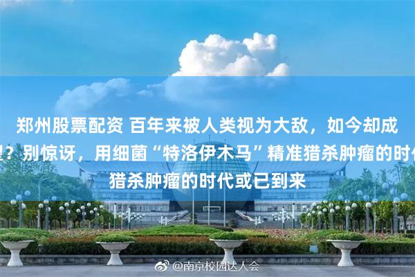 郑州股票配资 百年来被人类视为大敌，如今却成抗癌新希望？别惊讶，用细菌“特洛伊木马”精准猎杀肿瘤的时代或已到来